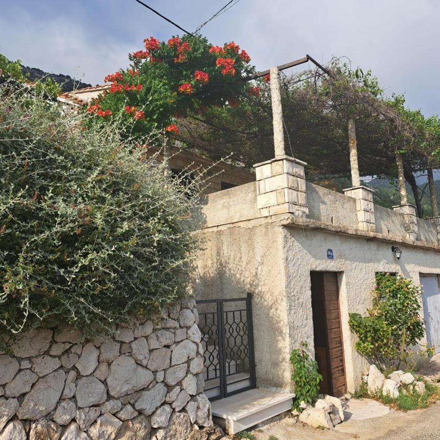 Guest House Tanja Babino Polje Extérieur photo