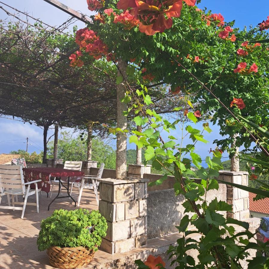 Guest House Tanja Babino Polje Extérieur photo